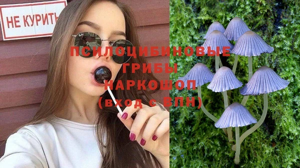 шишки Армянск